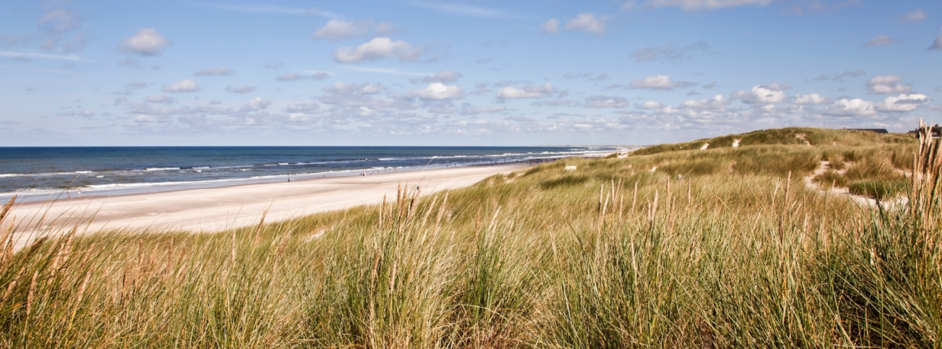 Vesterhavet
