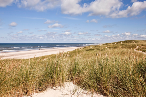 Vesterhavet