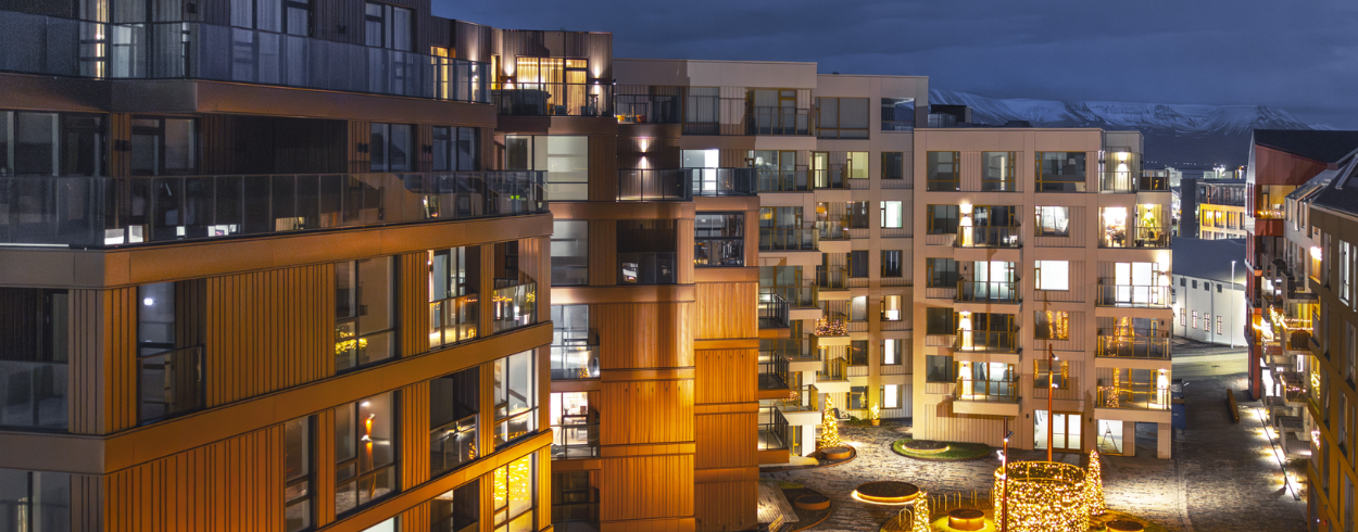 Ananaust nær Reykjavic